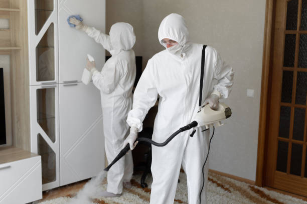 Certified Mold Removal in Woodworth, LA