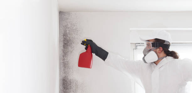 Best Certified Mold Removal  in Woodworth, LA