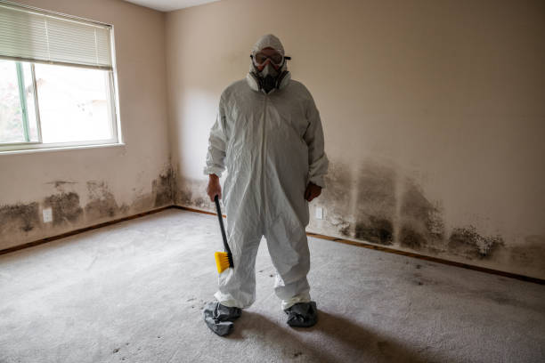 Best Professional Mold Removal  in Woodworth, LA
